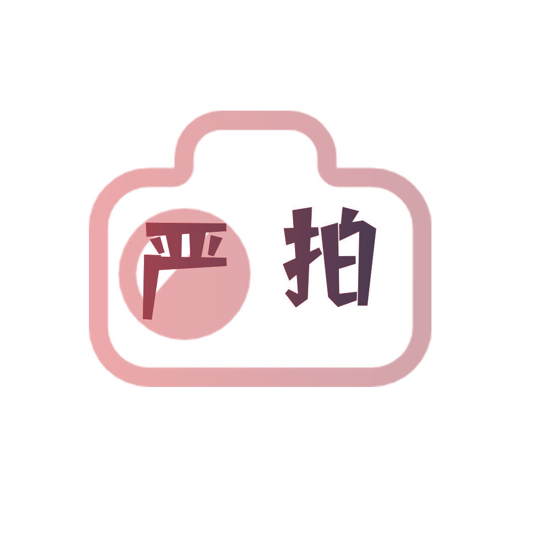 严拍