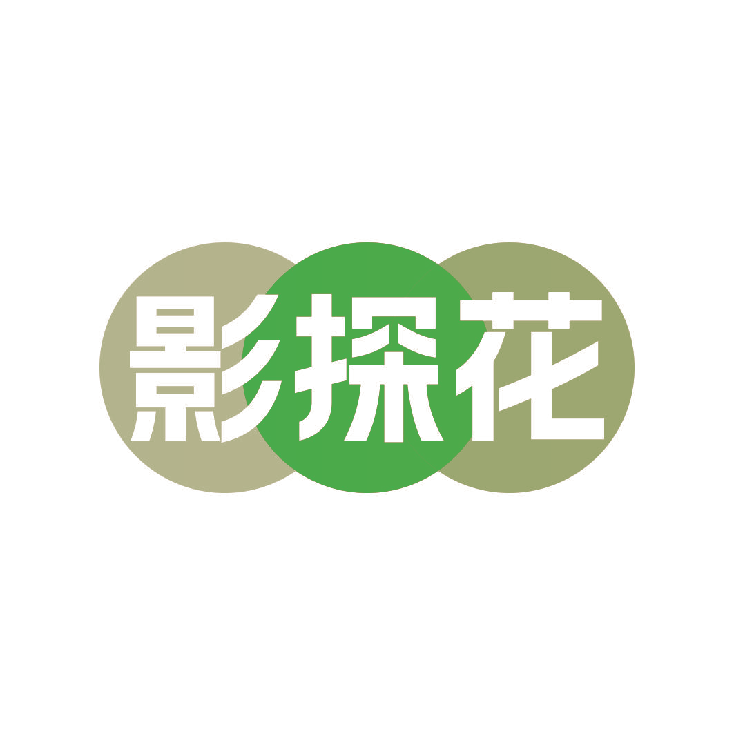 影探花