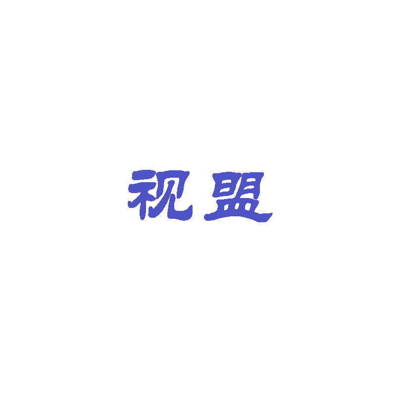 视盟
