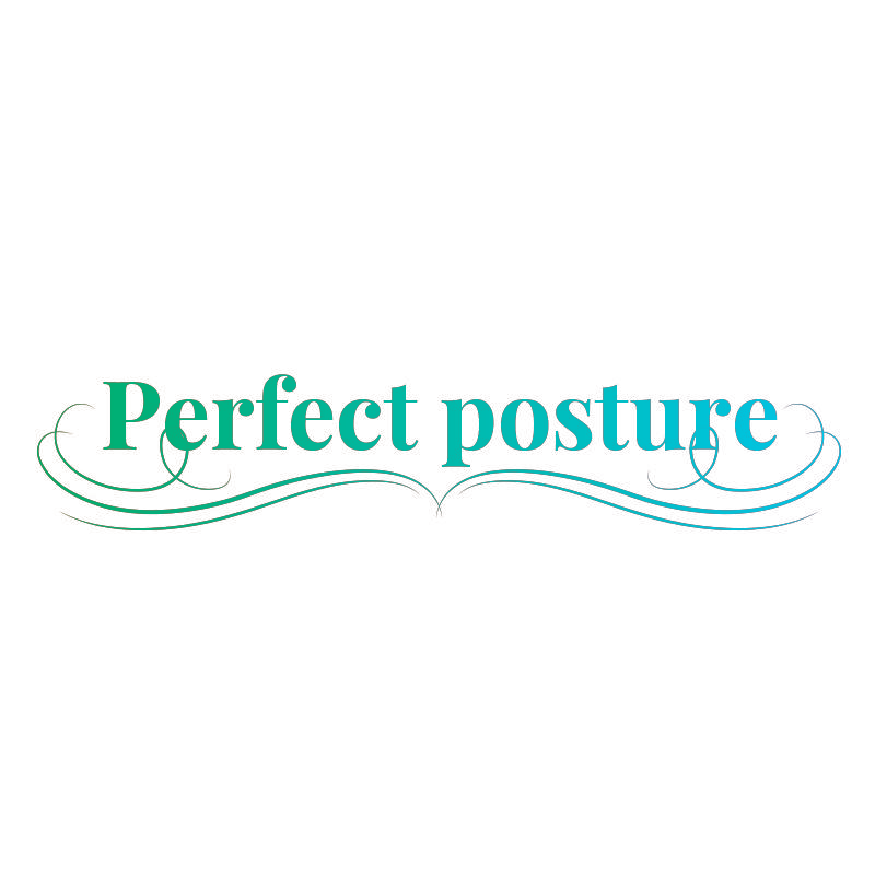 PERFECT POSTURE
