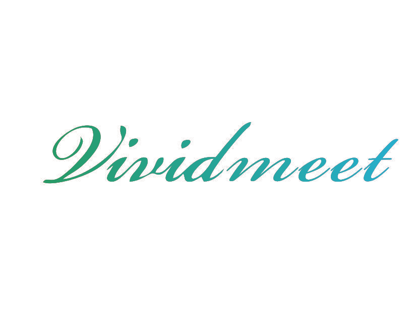 VIVIDMEET