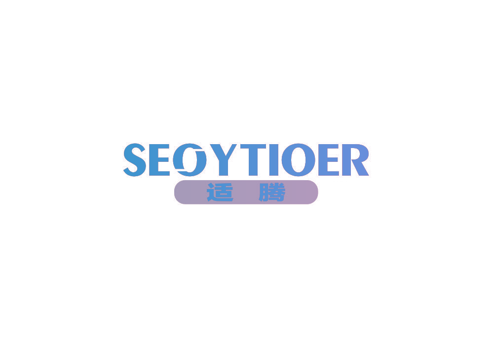 适腾 SEOYTIOER