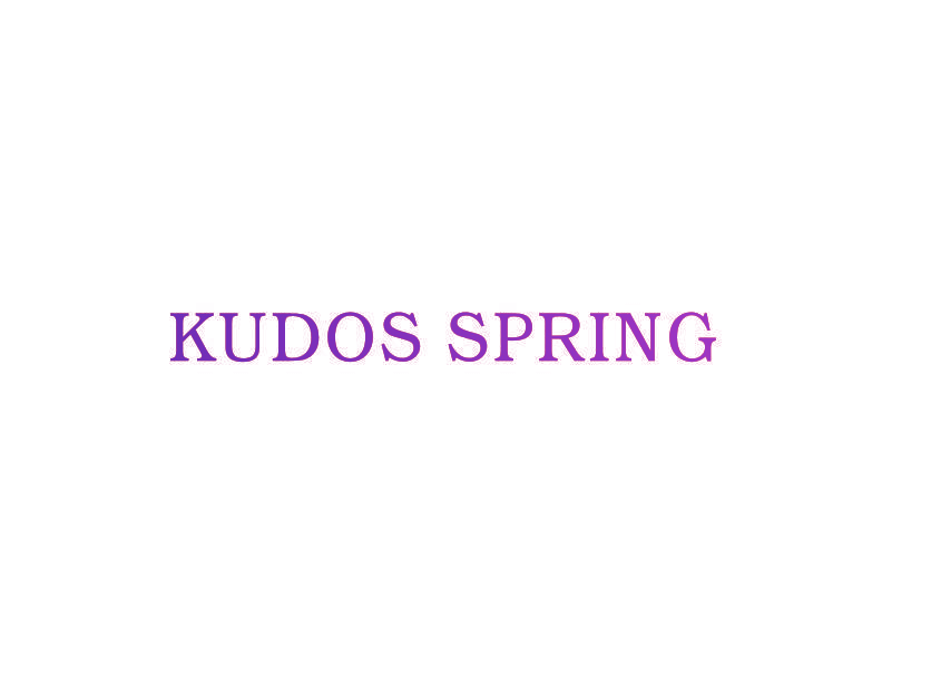 KUDOS SPRING
