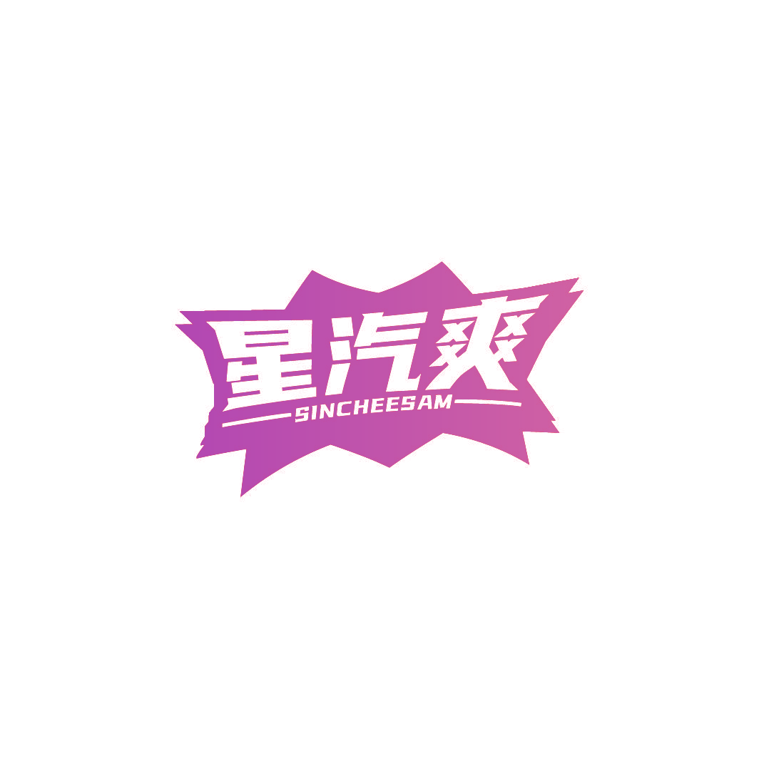 星汽爽 SINCHEESAM
