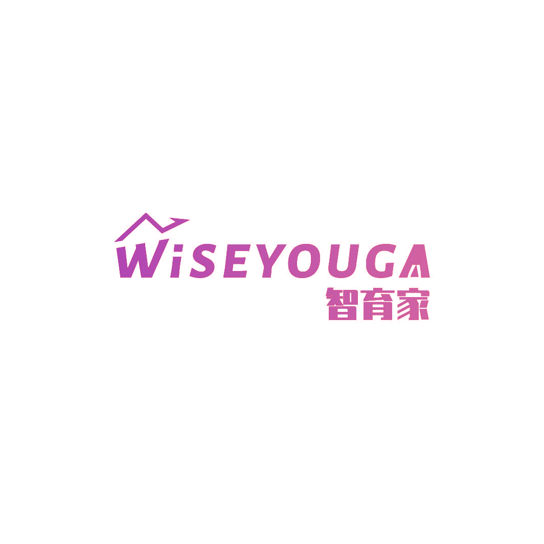 智育家 WISEYOUGA