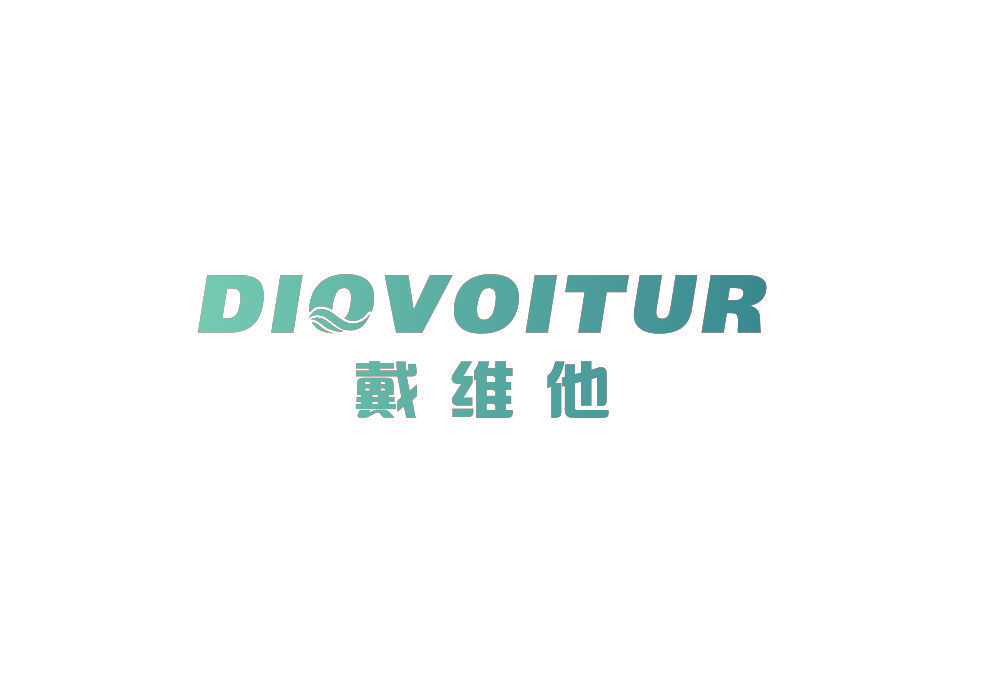 戴维他 DIOVOITUR