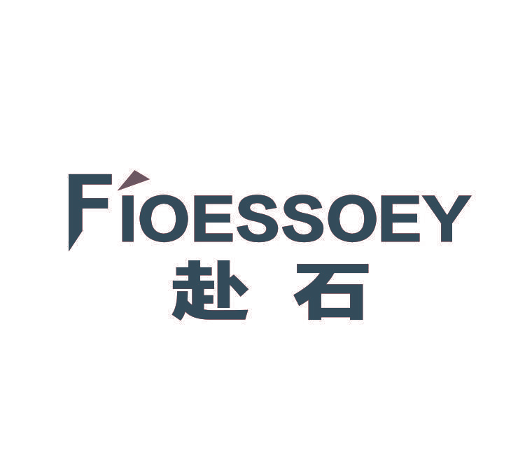 FIOESSOEY 赴石