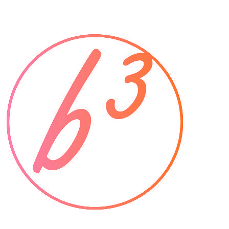 B 3