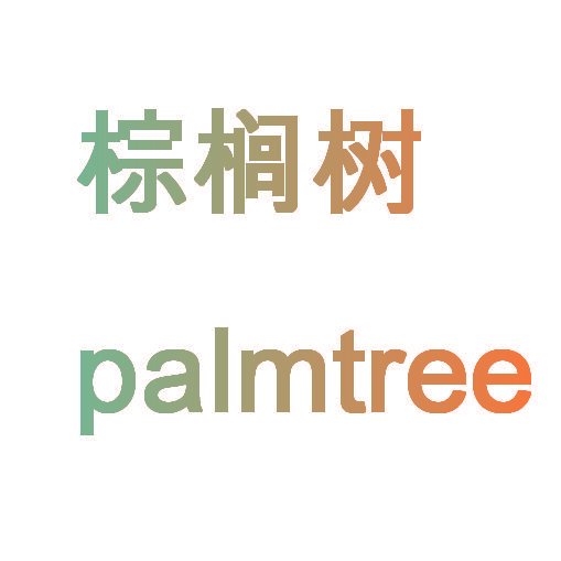 棕榈树 PALMTREE