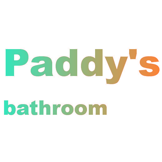 PADDY'S BATHROOM