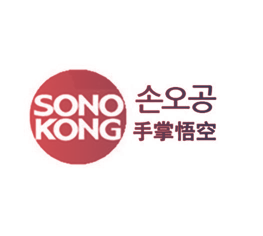 手掌悟空 SONOKONG