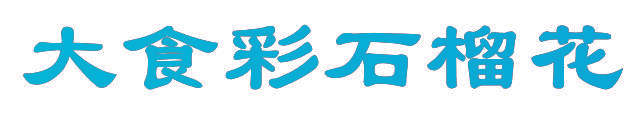 大食彩石榴花