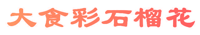 大食彩石榴花