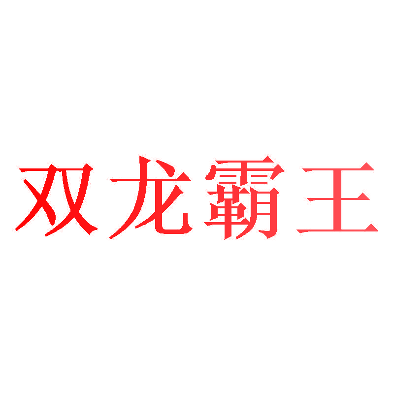 双龙霸王