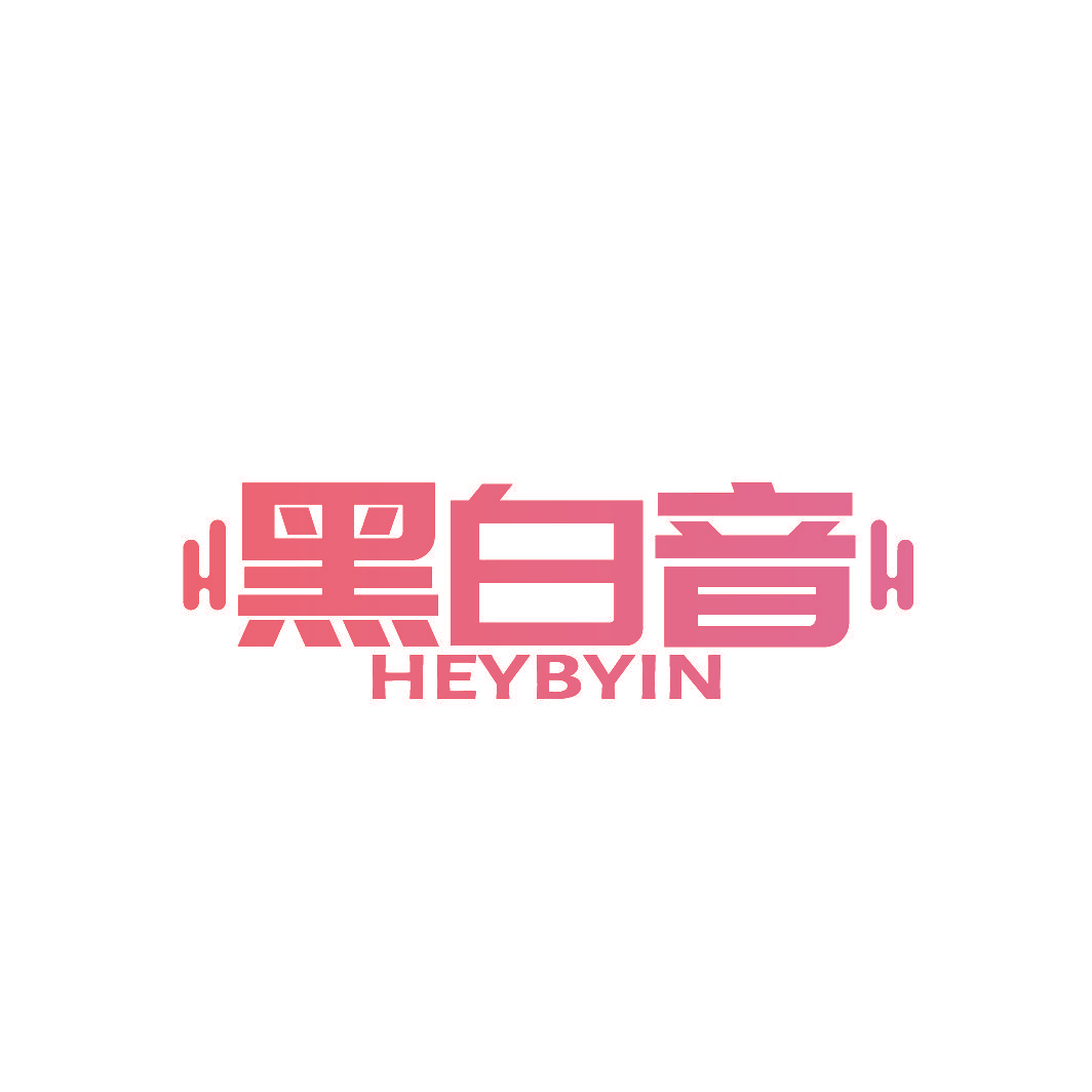 黑白音 HEYBYIN