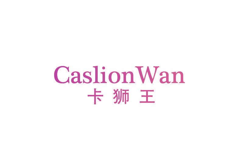 卡狮王 CASLION WAN