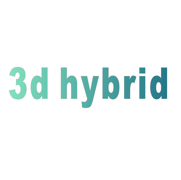 3D HYBRID