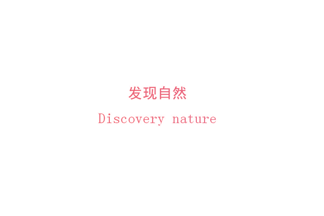 发现自然 DISCOVERY NATURE