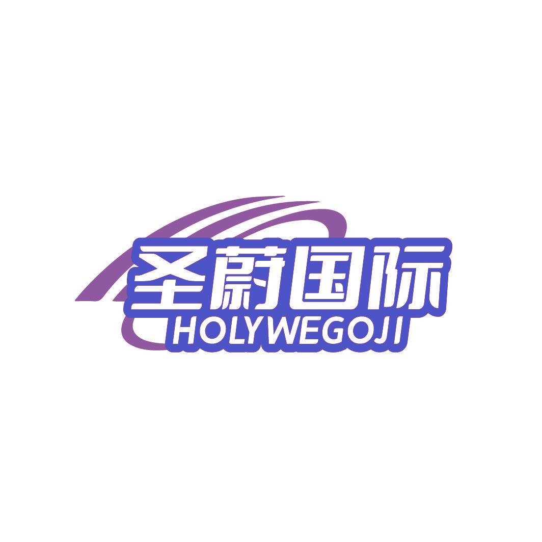 圣蔚国际 HOLYWEGOJI