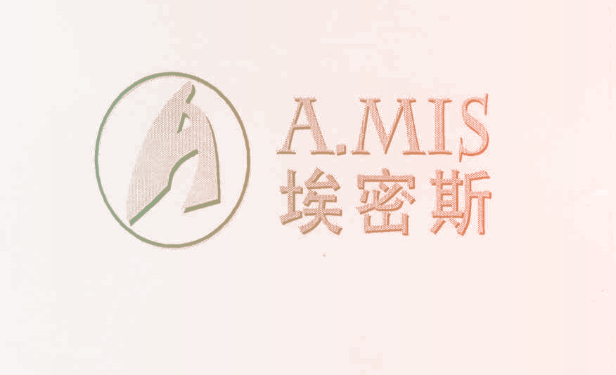 埃密斯 AMIS A