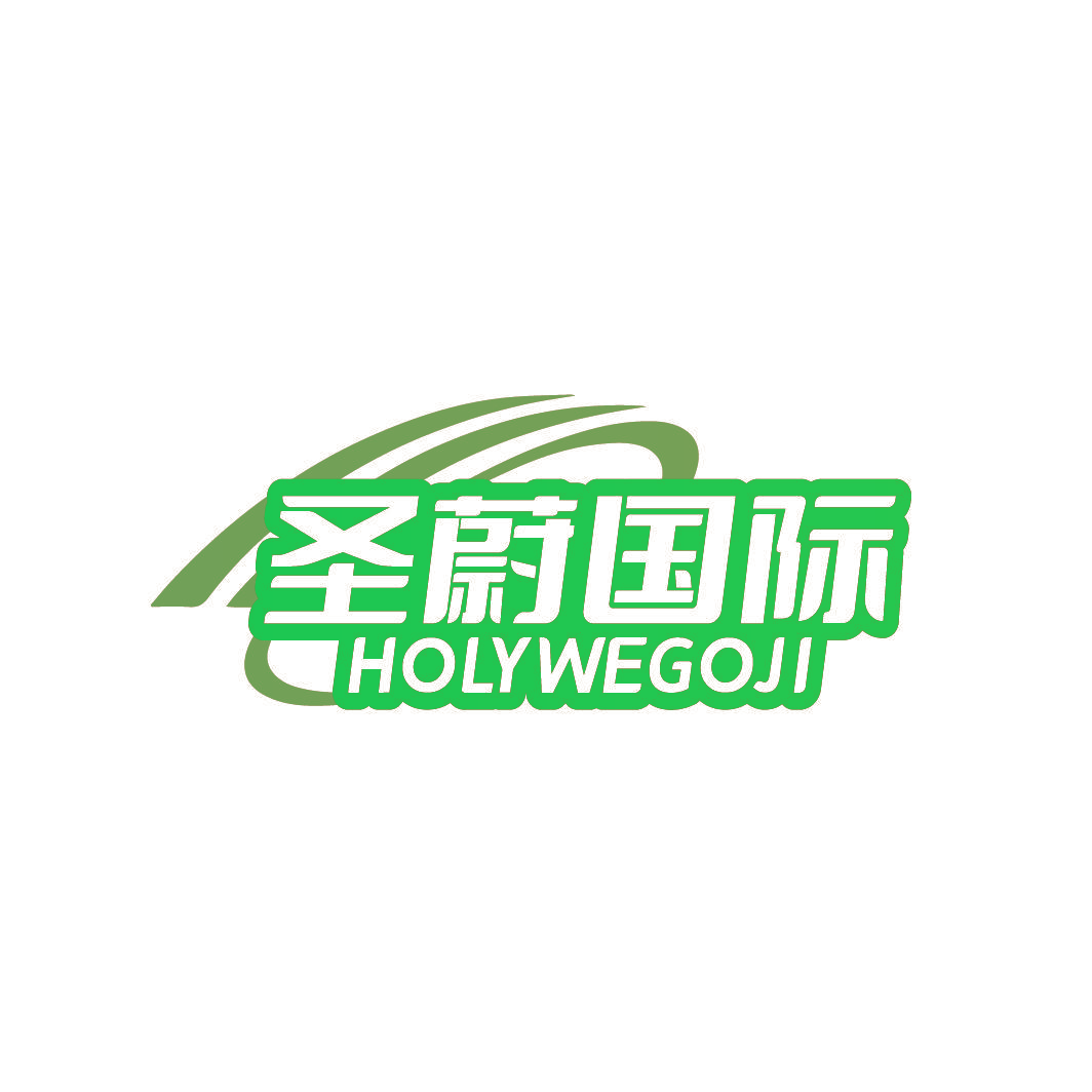 圣蔚国际 HOLYWEGOJI