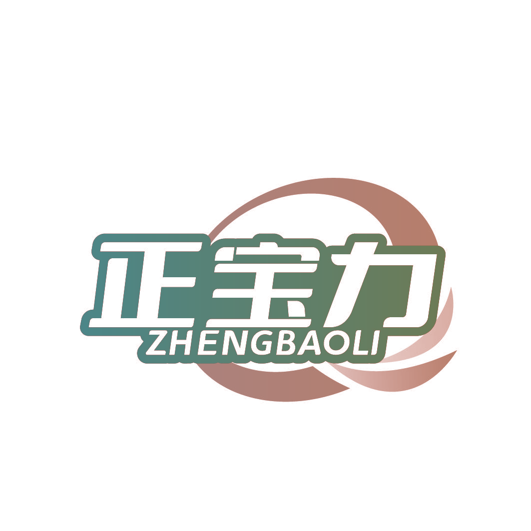 正宝力