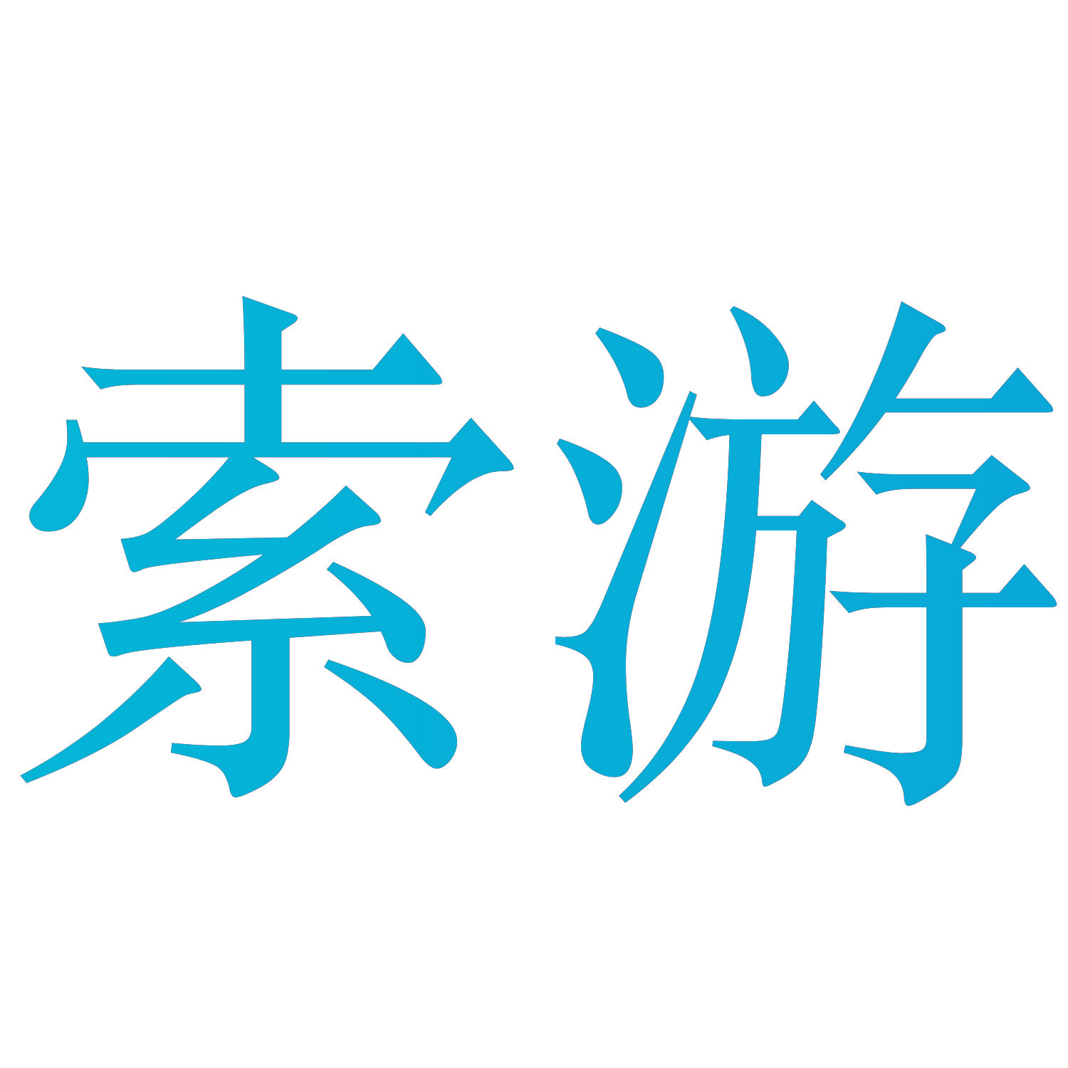 索游