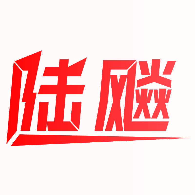 陆飚
