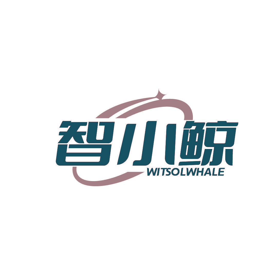 智小鲸 WITSOLWHALE