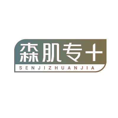 森肌专+ SENJIZHUANJIA