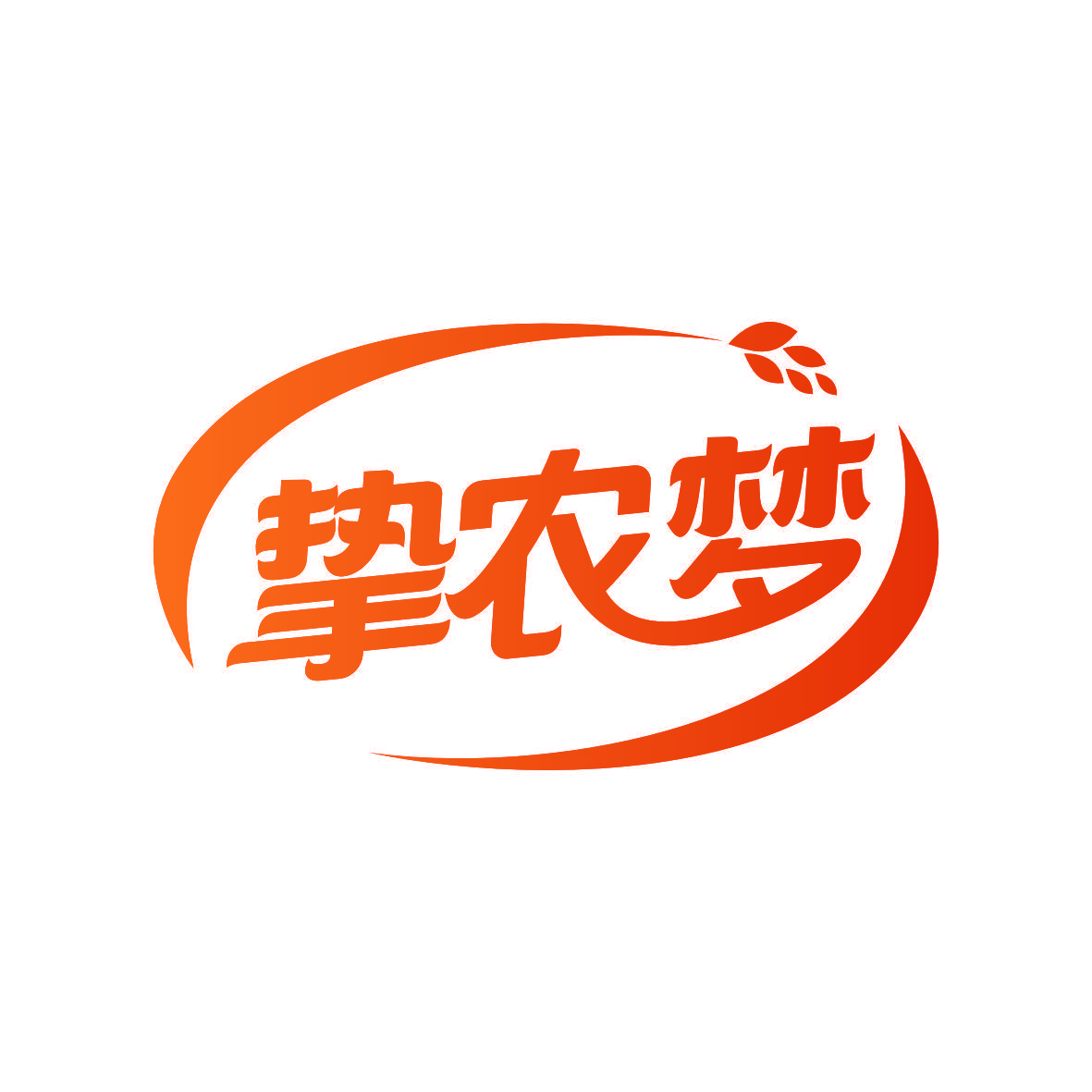 挚农梦