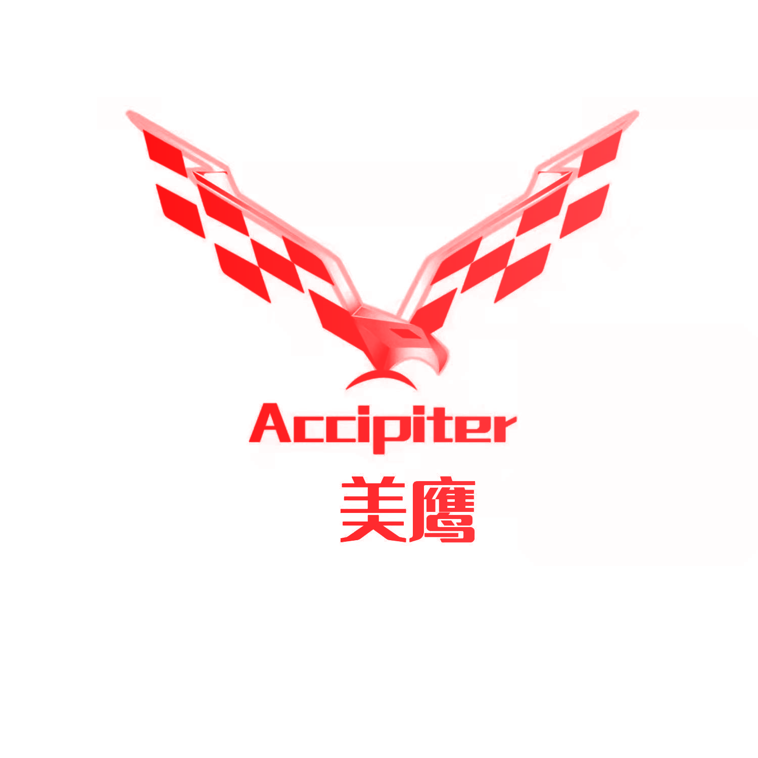ACCIPITER 美鹰