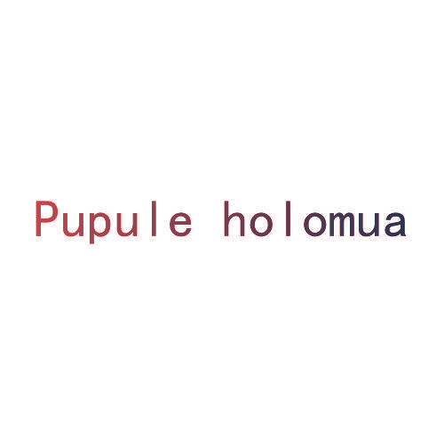 PUPULE HOLOMUA