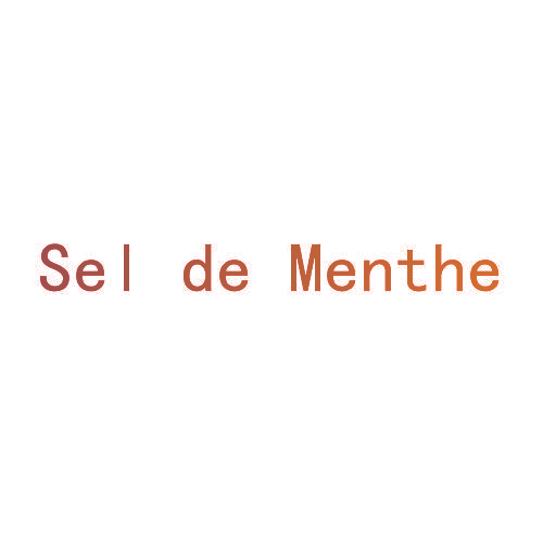 SEL DE MENTHE