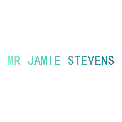 MR JAMIE STEVENS