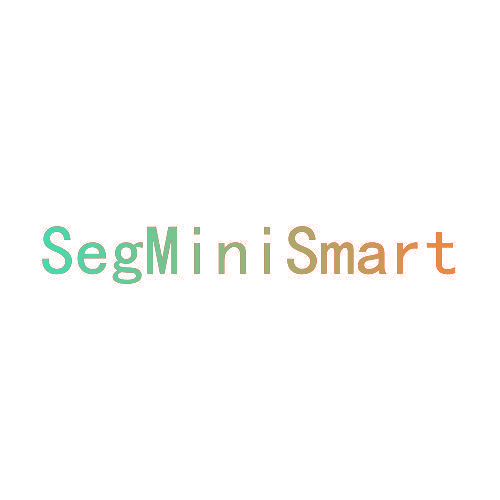 SEGMINISMART