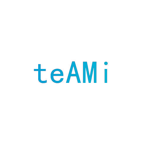 TEAMI