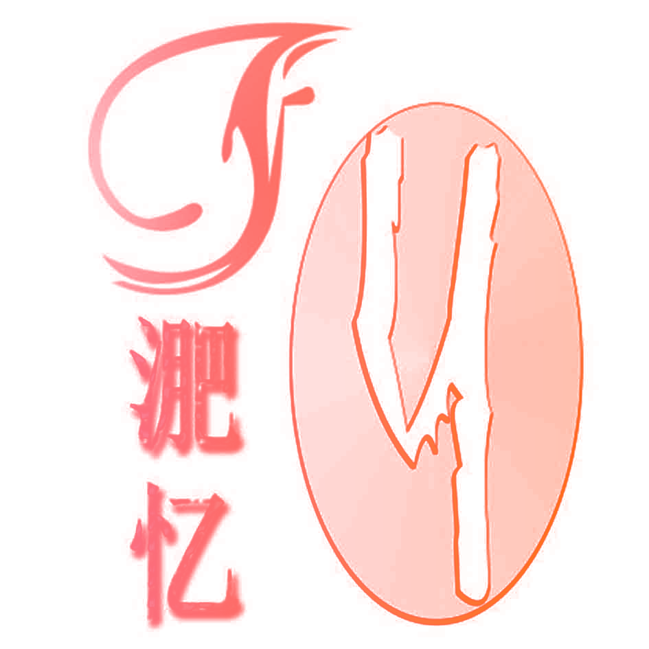 淝忆
