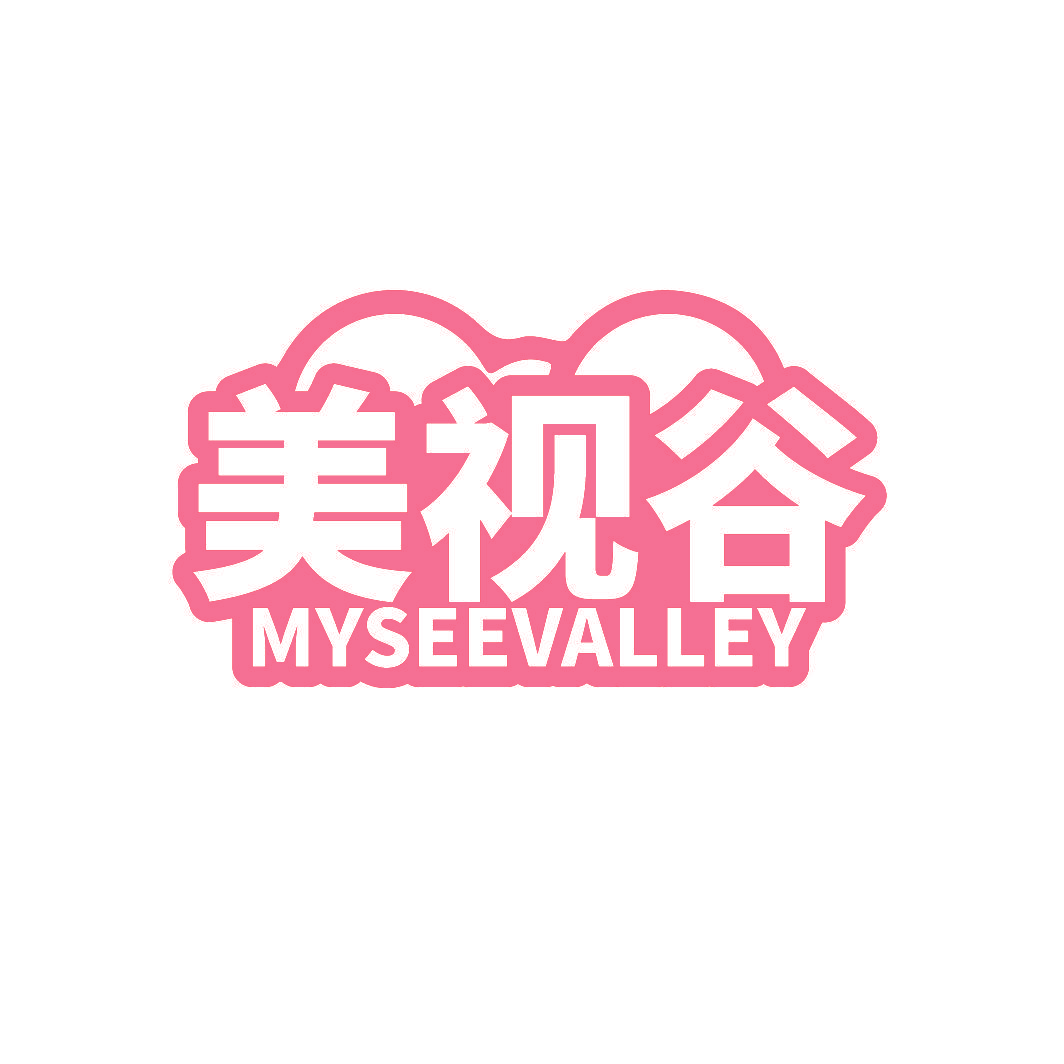 美视谷 MYSEEVALLEY