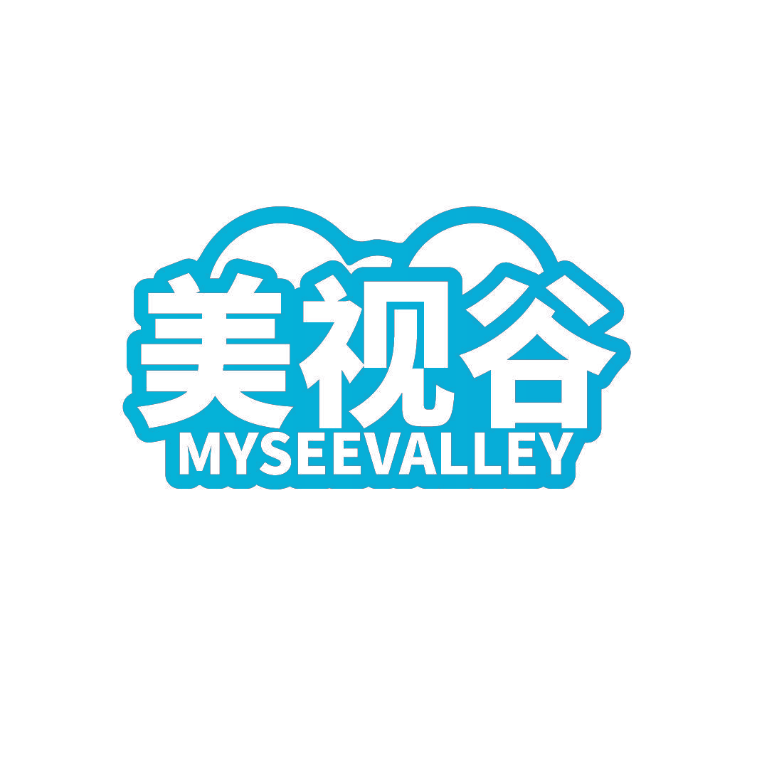 美视谷 MYSEEVALLEY