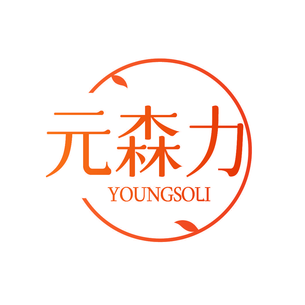 元森力 YOUNGSOLI