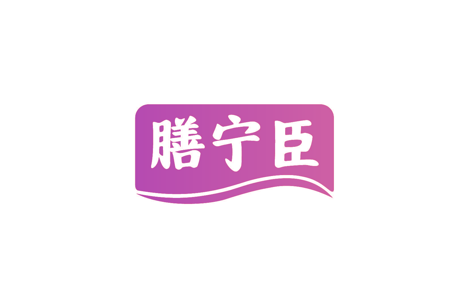 膳宁臣