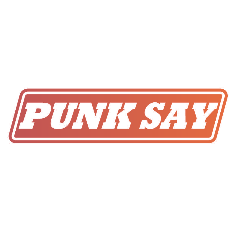 PUNK SAY