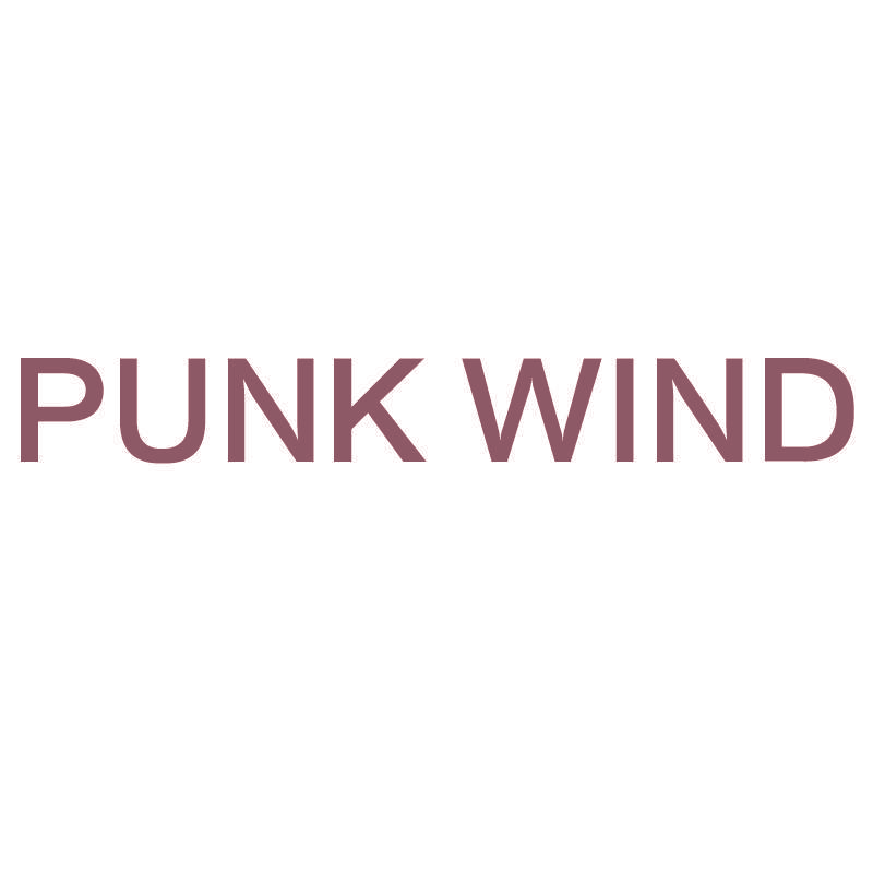 PUNK WIND