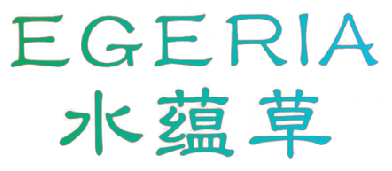 水蕴草 EGERIA